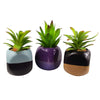 Cube Planters Artificial Succulent Plants 13cm Set Three Mini Ceramic