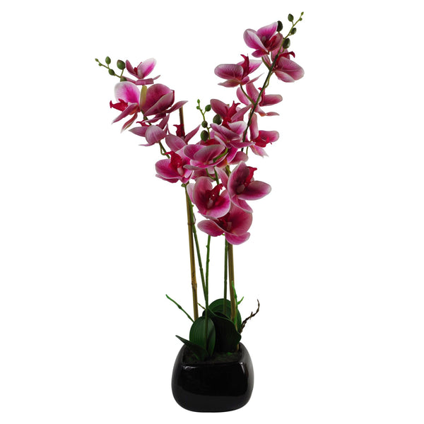 Artificial Orchid Black Ceramic Planter Dark Pink Black Planter 70cm