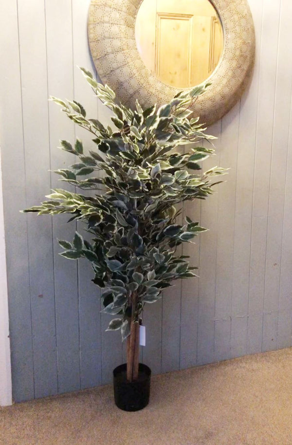 Artificial Ficus Tree Plant Variagated 110cm Tall Trees