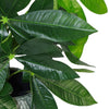 Artificial Foliage Plant Pot 50cm Artificial Money Tree Plants