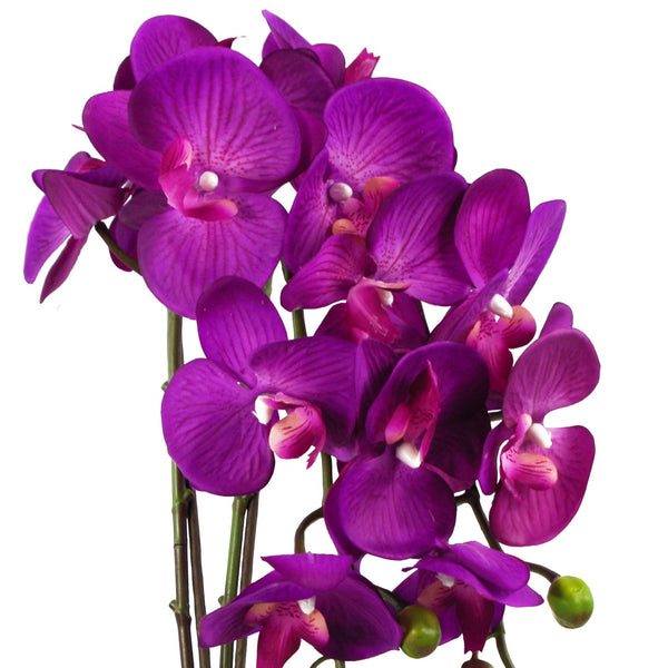 Artificial Orchid Large Purple Gold 52cm