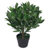 Artificial Bay Laurel Trees - Large Statement Entrance Trees