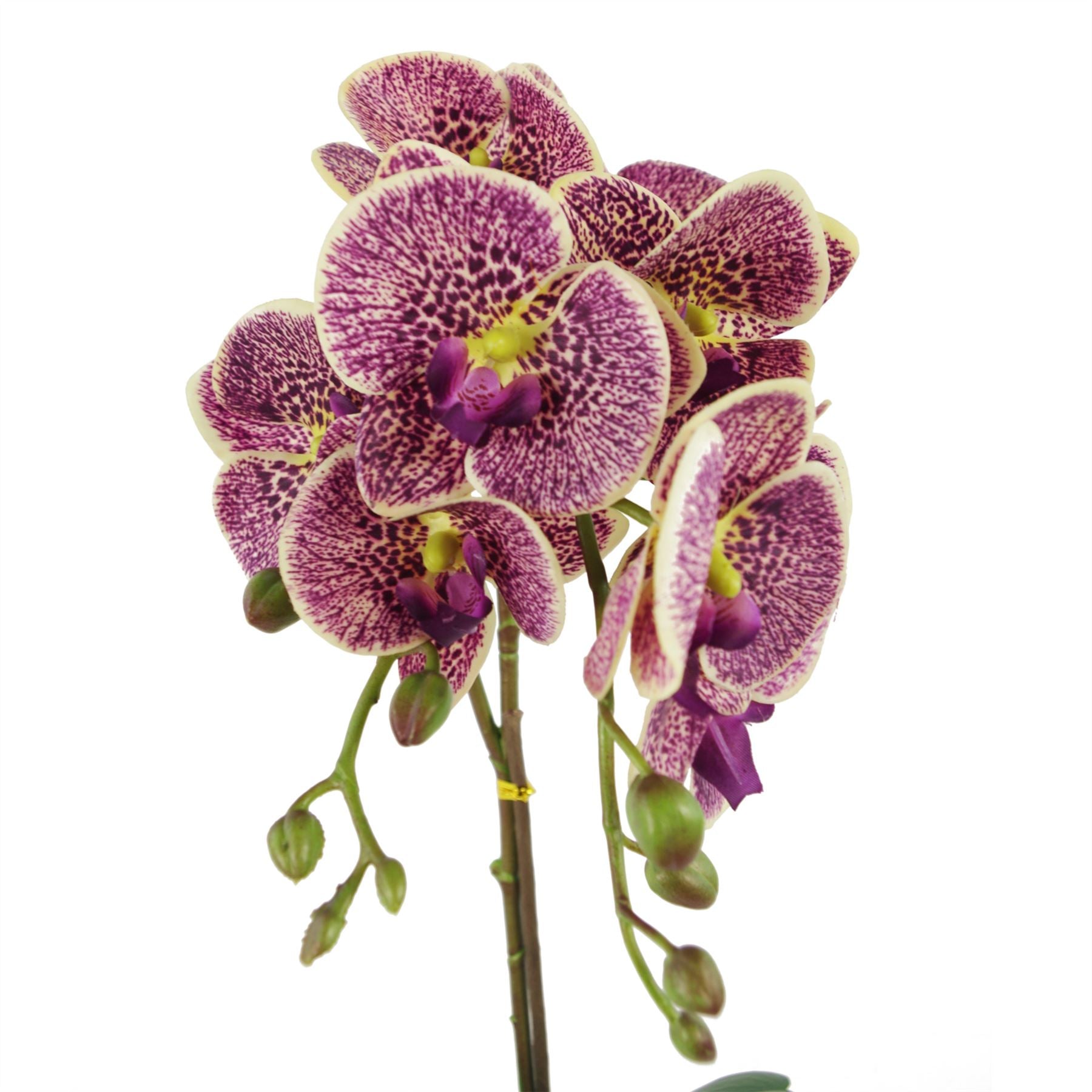 Orchid Artificial Purple Leopard Gold Pot 50cm Phalaenopsis