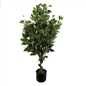 Artificial Ficus Tree Plant Ficus 110cm Plants Leaf