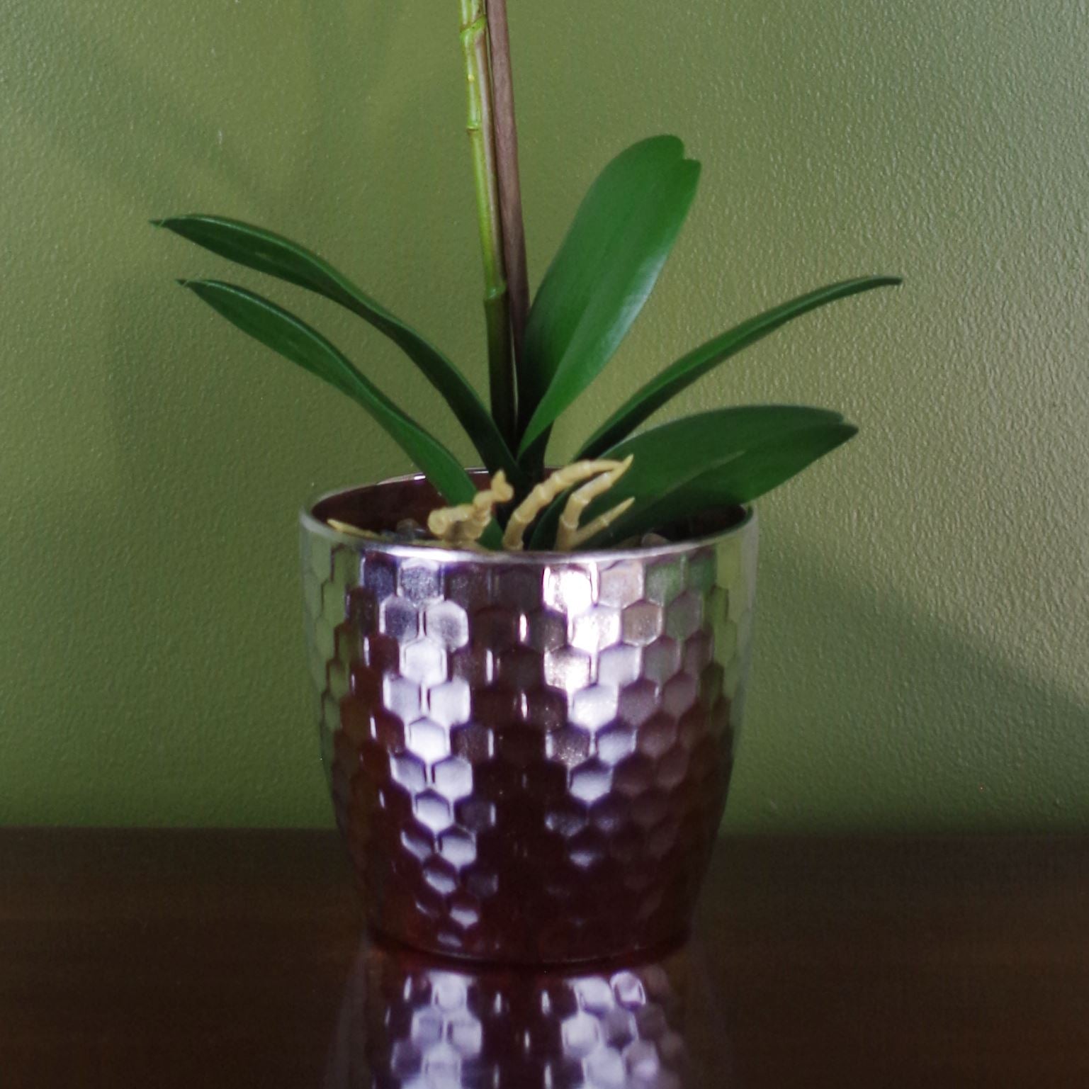 Pink Orchid Artificial Silver Pot 50cm Real Touch