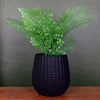 16cm Black Ceramic Planter