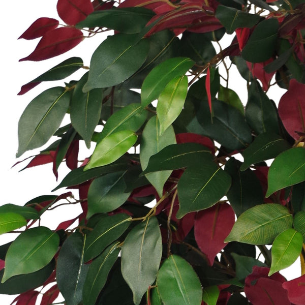 Artificial Ficus Tree Plant Red Green Capensia 120cm Plants