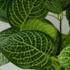 Artificial Pothos Plant Ceramic Planter 50cm