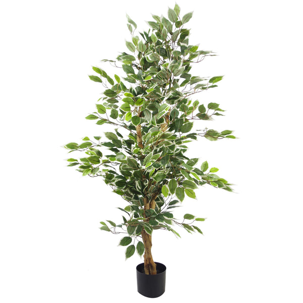 Artificial Ficus Tree Plant White Edge Bushy 130cm Plants Leaf