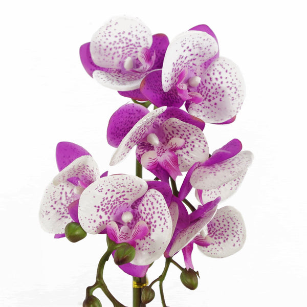 Orchid Artificial Purple White 50cm Gold Pot Phalaenopsis