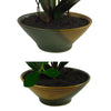 Artificial Orchid Glazed Planter White Glazed Planter 65cm