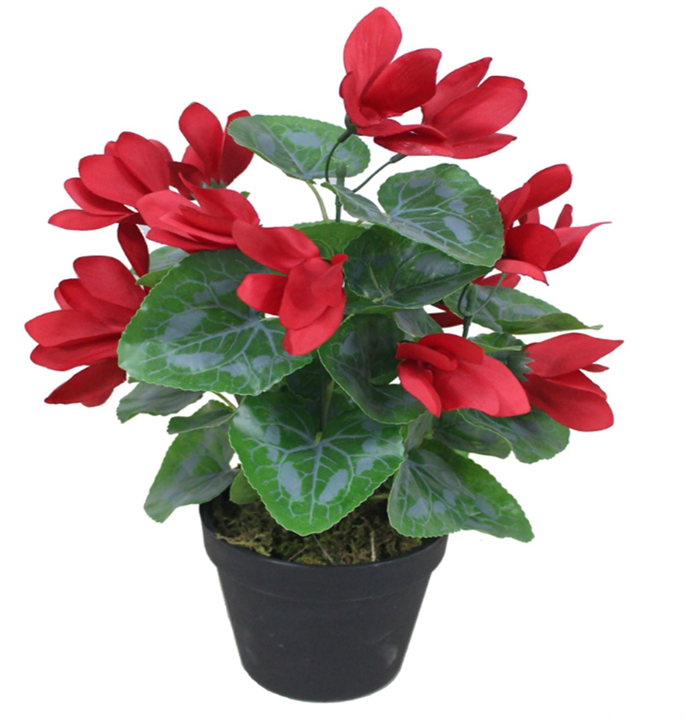 38cm Artificial Cylamen Plant Red Plants 38cm