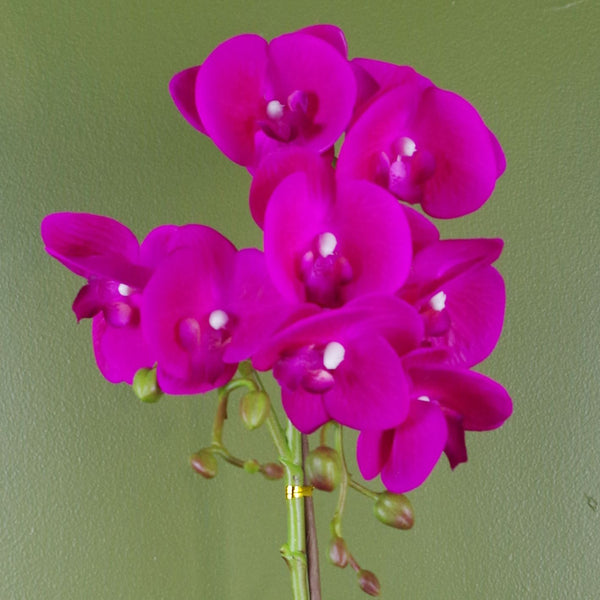 Pink Orchid Artificial Dark Silver 50cm