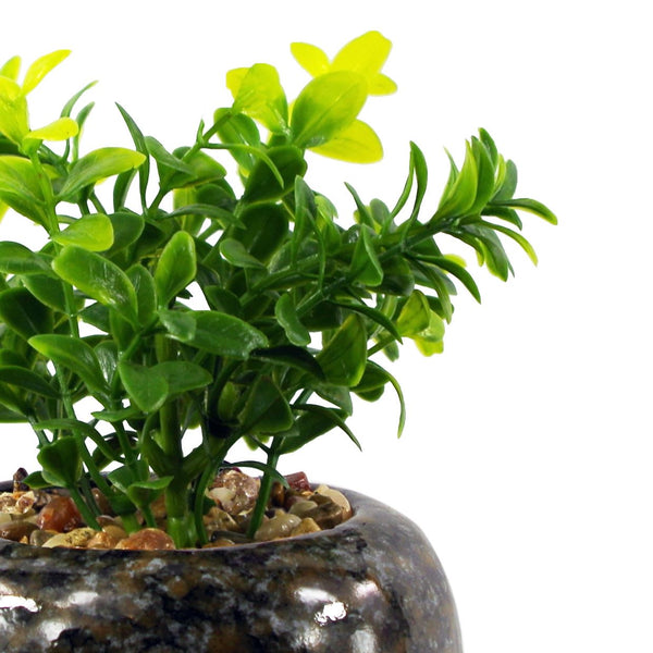 Artificial Plant Ceramic Planter Desk Plant Crassula 16cm