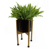 Fern Plant Artificial 40cm Artificial Crocodile Fern Plant