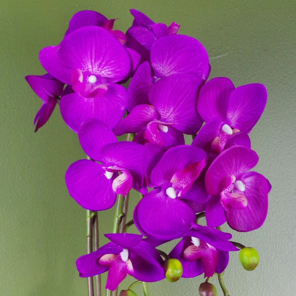 Purple Artificial Orchid Gold 52cm Real Touch