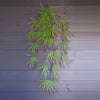 Artificial Extra Long Hanging Acer Plant Bundle - Pack of 12