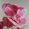 Artificial Orchid Flower Plant 70cm Pink Plastic Pot 70cm