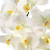 Artificial Orchid Large White Silver 52cm