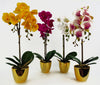 Orchid Artificial Pink Gold Pot 48cm Harlequin