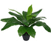 Artificial Bird Nest Fern 50cm ard Plants