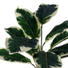 Artificial Plant Pothos Variagated Planter