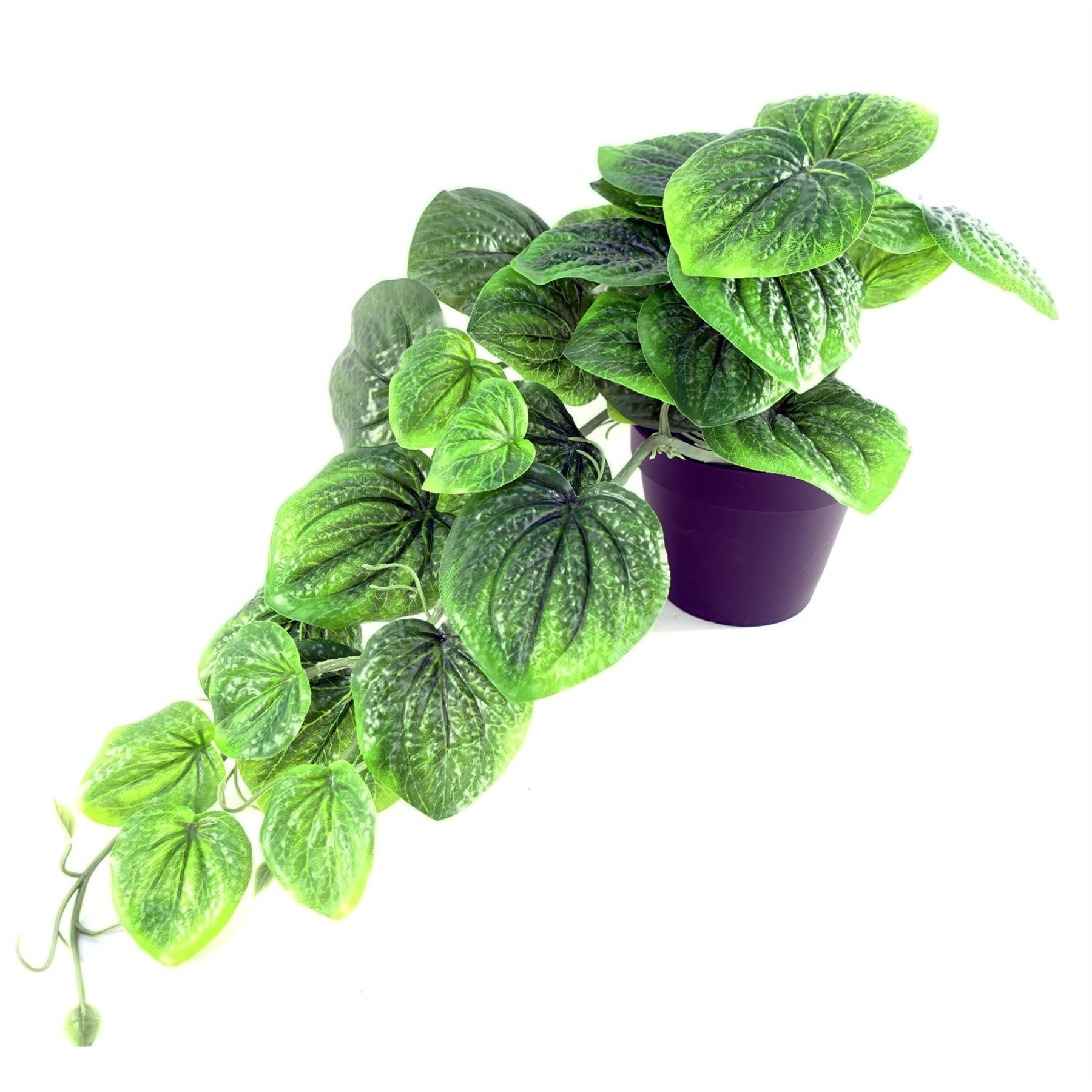 35cm Artificial Trailing Look Pothos Plant