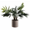 Artificial Tree Plant Palm in Decorative Planter