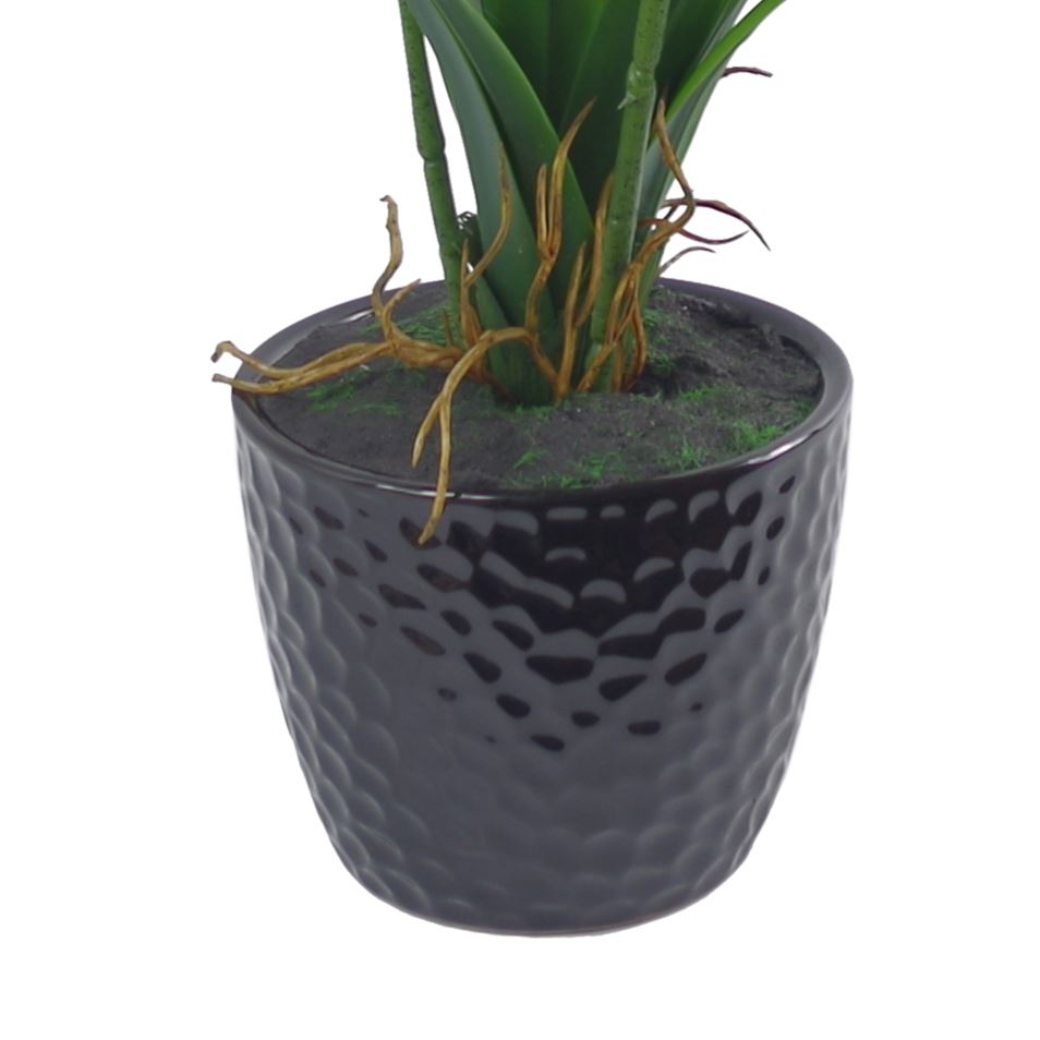 Artificial Orchid Black Ceramic Planter Dark Pink 50cm