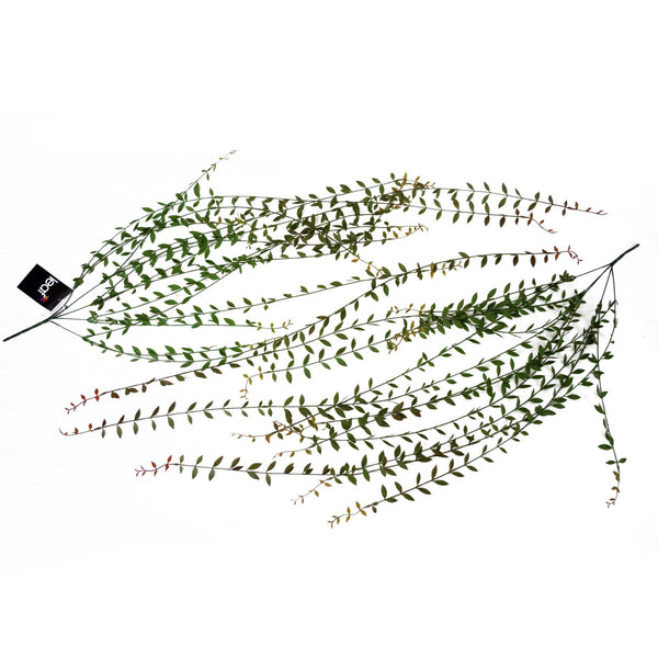 Artificial Foliage Hanging Fern Plant Pearls Long Large