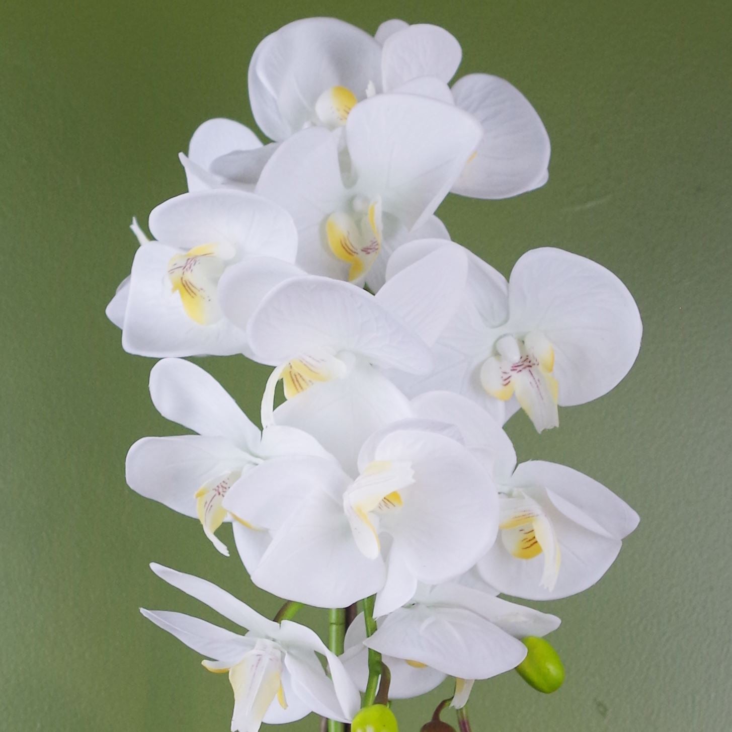 White Artificial Orchid Gold 52cm Real Touch