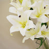 Artificial Flowers Lily Plant White Bare Stem 60cm Leaf