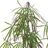 Artificial Foliage Hanging Acer Fern Plant