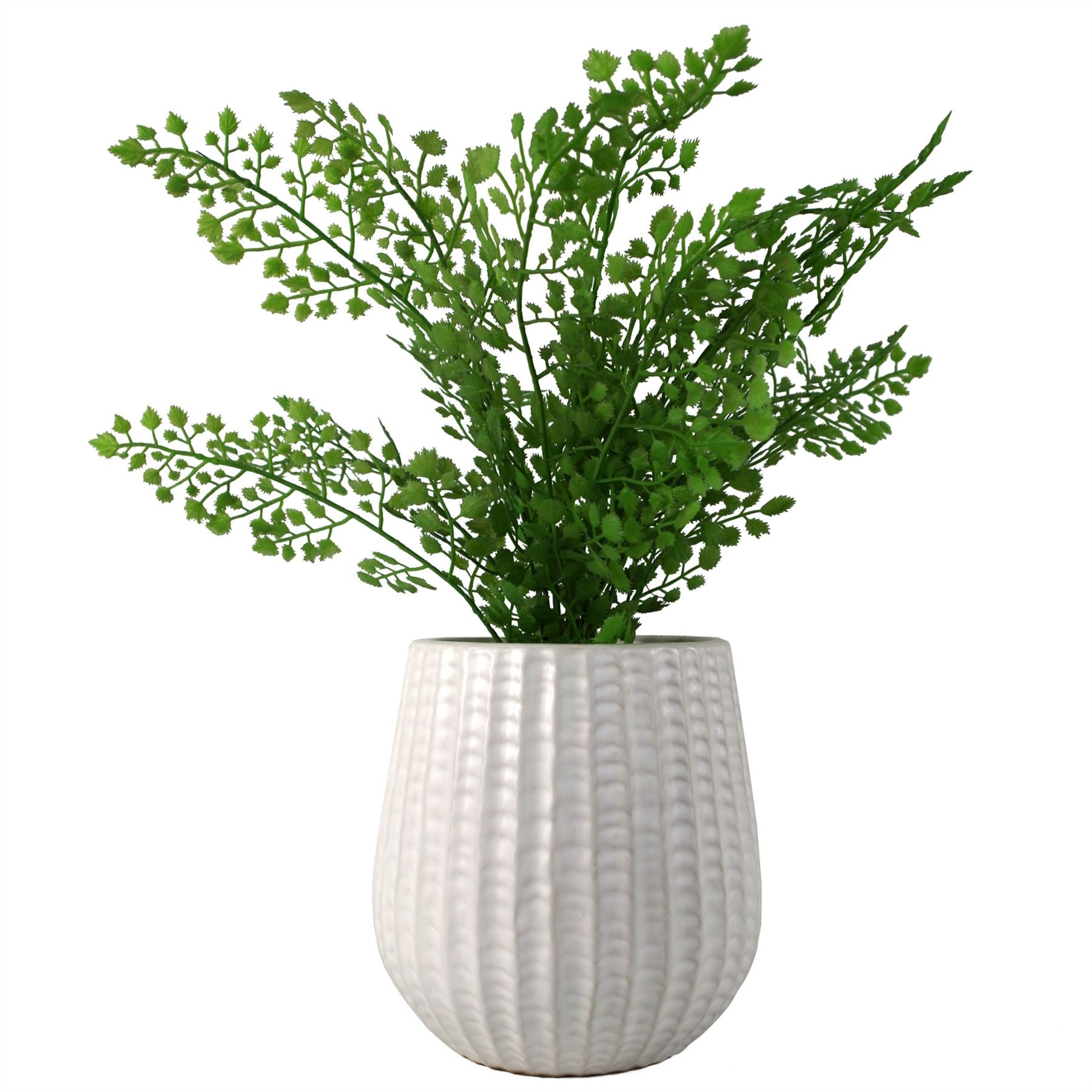 White Ceramic Planter