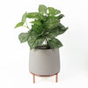 White Ceramic Planter Metal Plant Pot