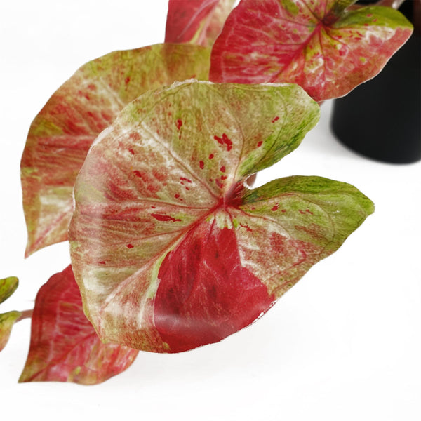 Artificial Hanging Plant Pink Splash Caladium