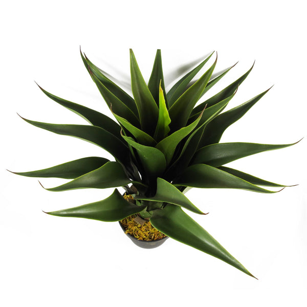 Artificial Tropical Yucca Plant Plants 55cm