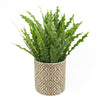 Artificial Plant Ceramic Geometric Planter Artificial Fern 40cm