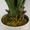 Artificial Yucca Plant Ceramic Planter & 60cm