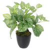 Artificial Fern Plant 40cm Caladium Plants