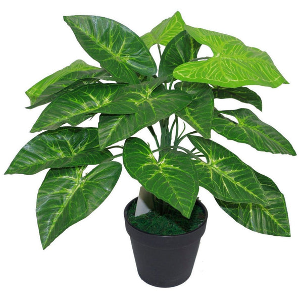 Artificial Plant in Pot Dark Taro 45cm Plants