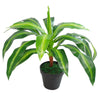 Artificial Foliage Plant Pot Variegated Leaves 40cm Plants