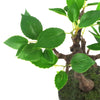 Artificial Bonsai Tree Mini Bonsai 25cm UK Trees Plant