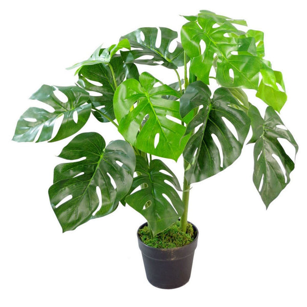 Artificial Monstera Cheese Plant Monstera 80cm Plants