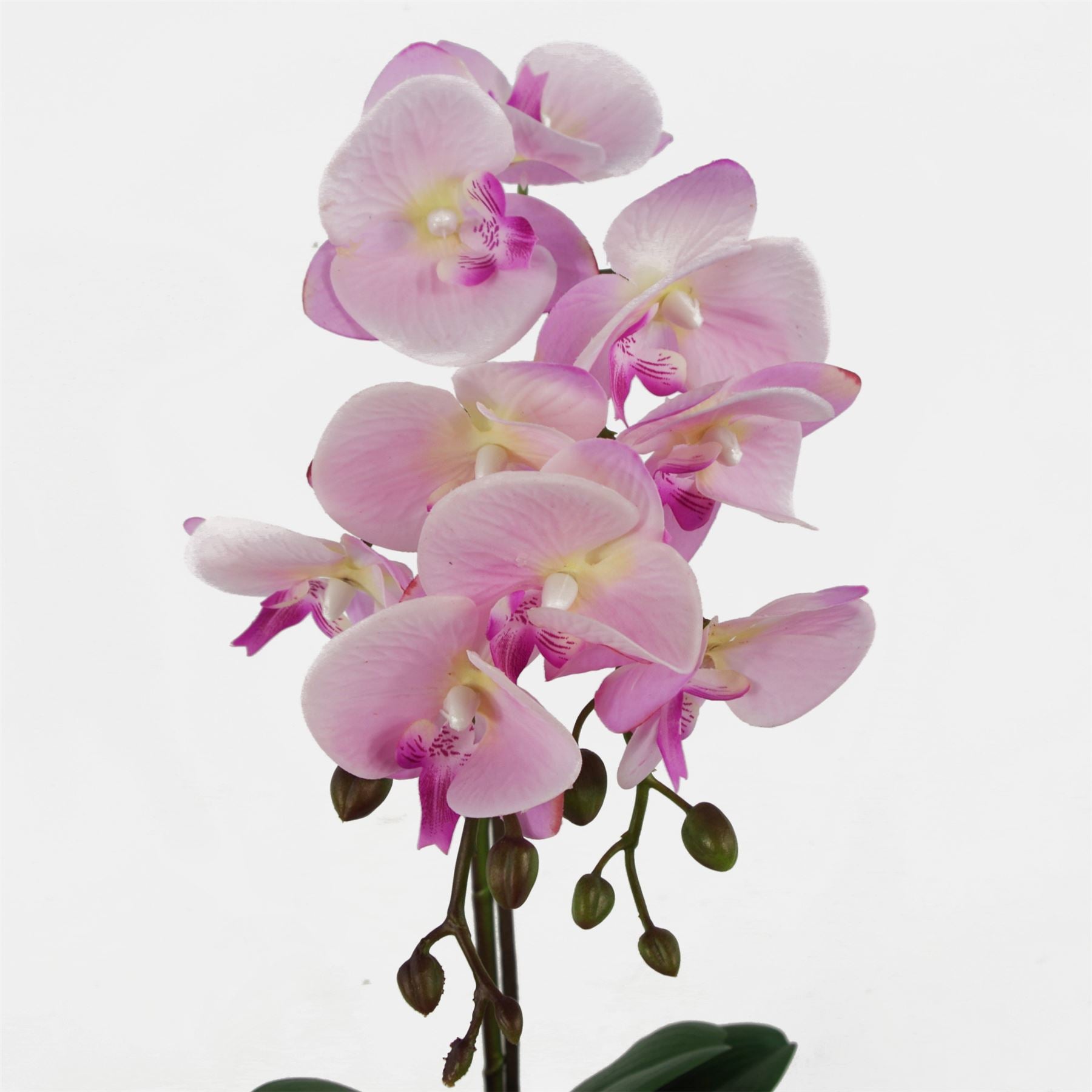 Orchid Artificial Pink Silver 50cm Phalaenopsis