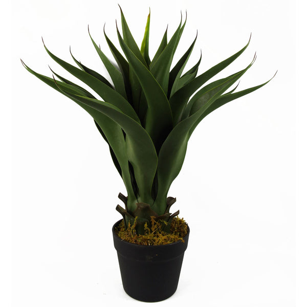 Artificial Yucca Plant Ceramic Planter & 60cm