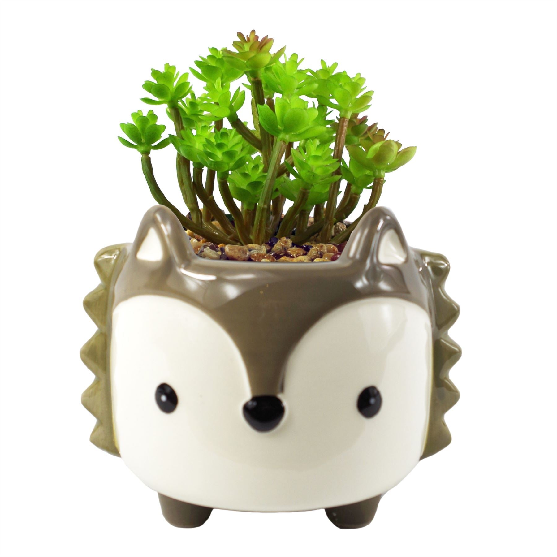 Artificial Plant Ceramic Fox Planter Grey Fox Sedum Clavatum 15cm