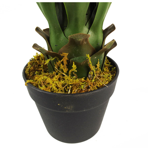 Artificial Yucca Plant Ceramic Planter & 60cm