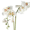 Artificial Orchid Flower Plant 70cm White Gold Ceramic Planter