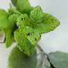 Artificial Hanging Plant Mint Leaf Garland Plant